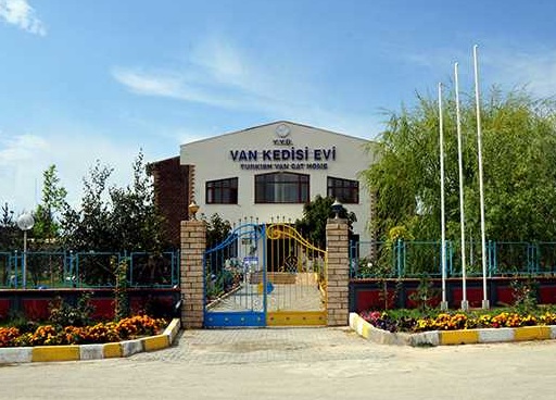 Van Gölü