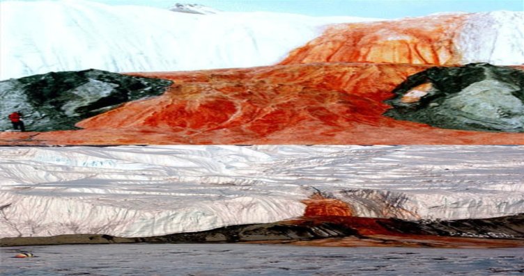 Antarktika Güzellikleri